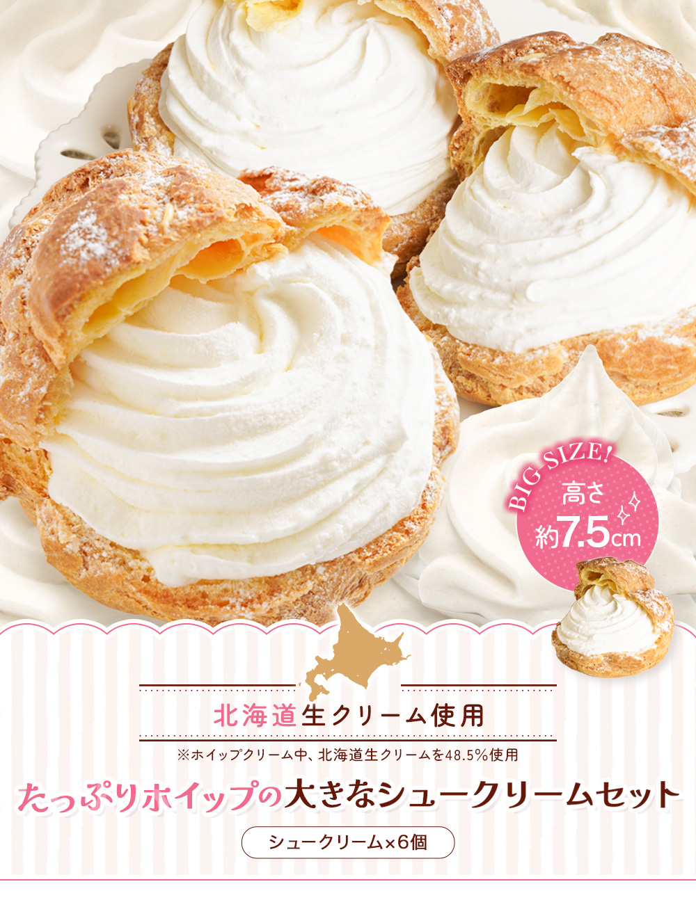 シュークリーム6個セット RC6 | タカナシミルク WEB SHOP 法人・プロユース