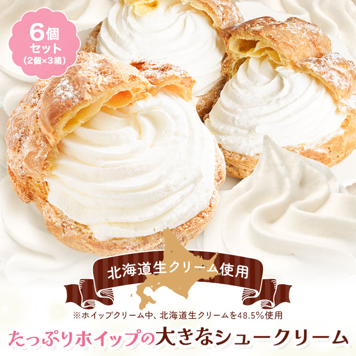 シュークリーム6個セット RC6 | タカナシミルク WEB SHOP 法人・プロユース