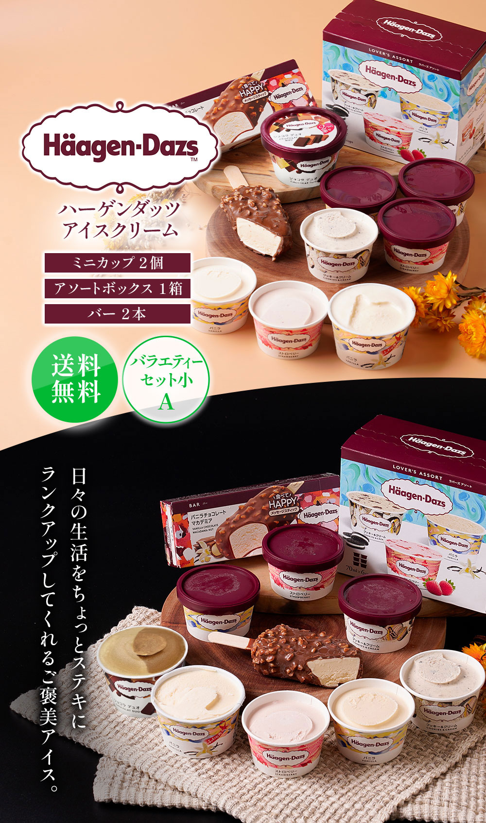 HD掛け紙】ハーゲンダッツバラエティーセット小A HD50BS | タカナシ