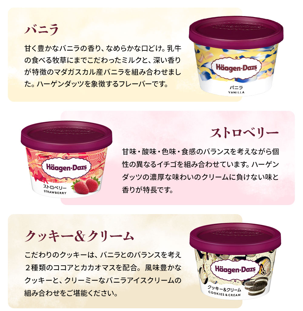 HD掛け紙】ハーゲンダッツバラエティーセット小B HD32L | タカナシ