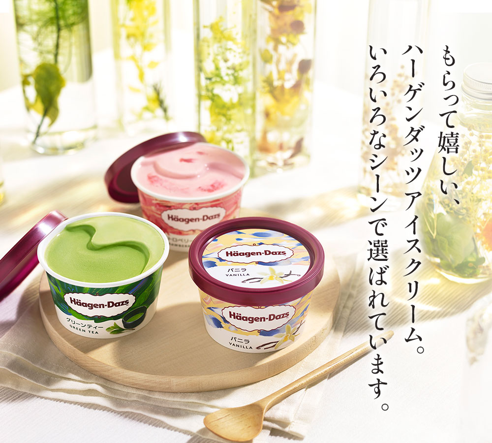 HD掛け紙】ハーゲンダッツバラエティーセット小B HD32L | タカナシ