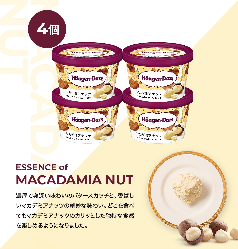 HD掛け紙】ハーゲンダッツ大容量24個セットHD24S | タカナシ