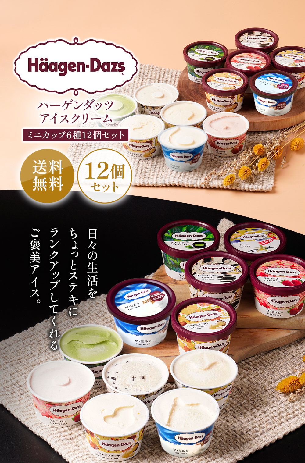 HD掛け紙】ハーゲンダッツミニカップセット（12個）HD57 | タカナシ