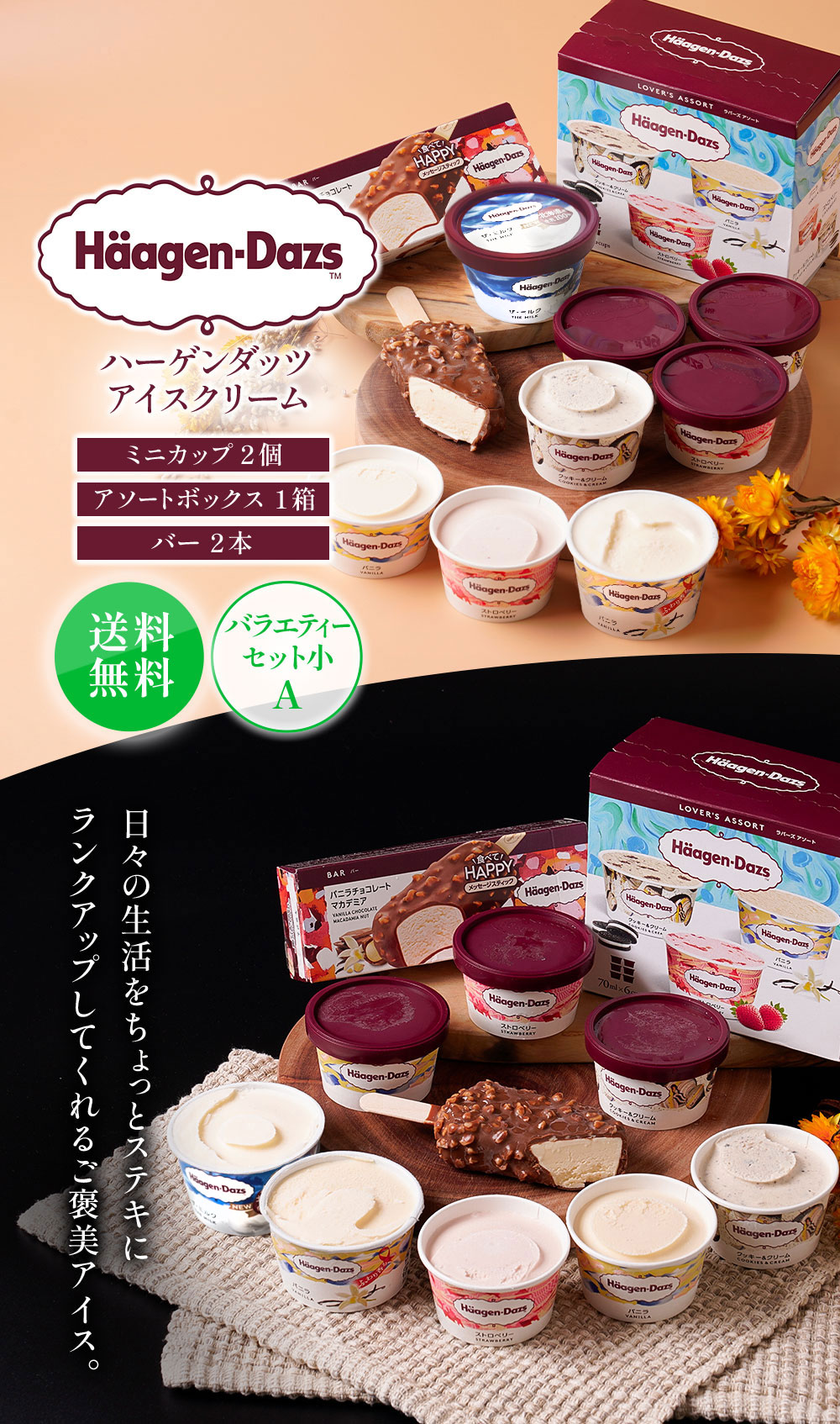 HD掛け紙】ハーゲンダッツバラエティーセット小A HD50BL | タカナシ