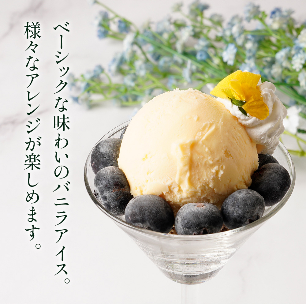 バニラアイスクリーム（YRホワイト） 2リットル | タカナシミルク WEB