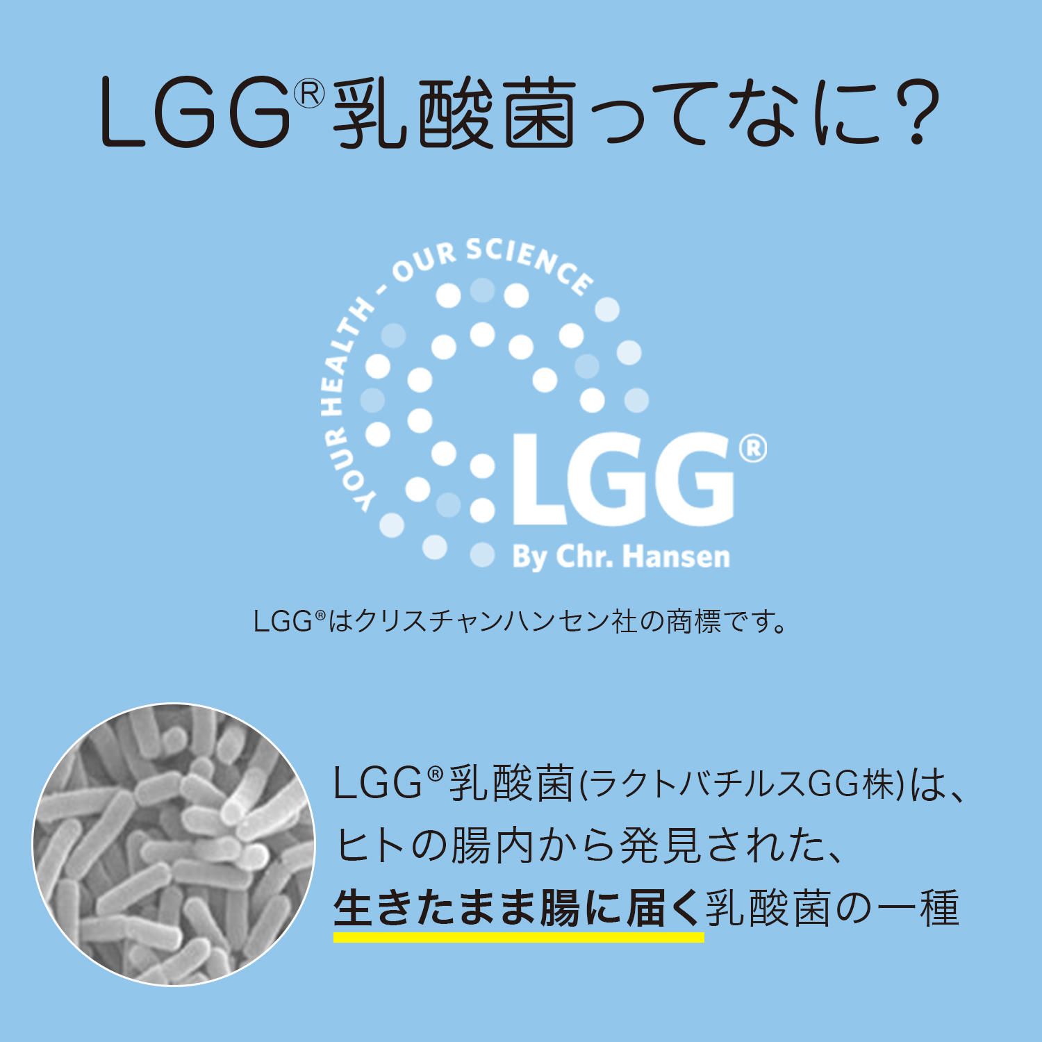 ヨーグルトおなかへGG！100g 18個 | タカナシミルク WEB SHOP